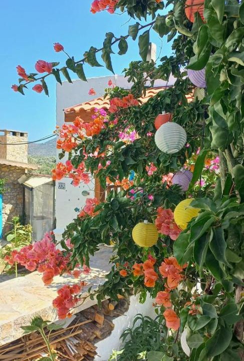 Photo of Others in Datca