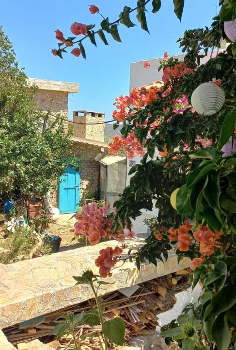 Photo of Others in Datca
