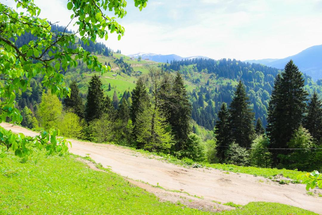 Photo of Others in Caykara