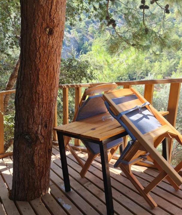 Photo of Others in Kabak Valley