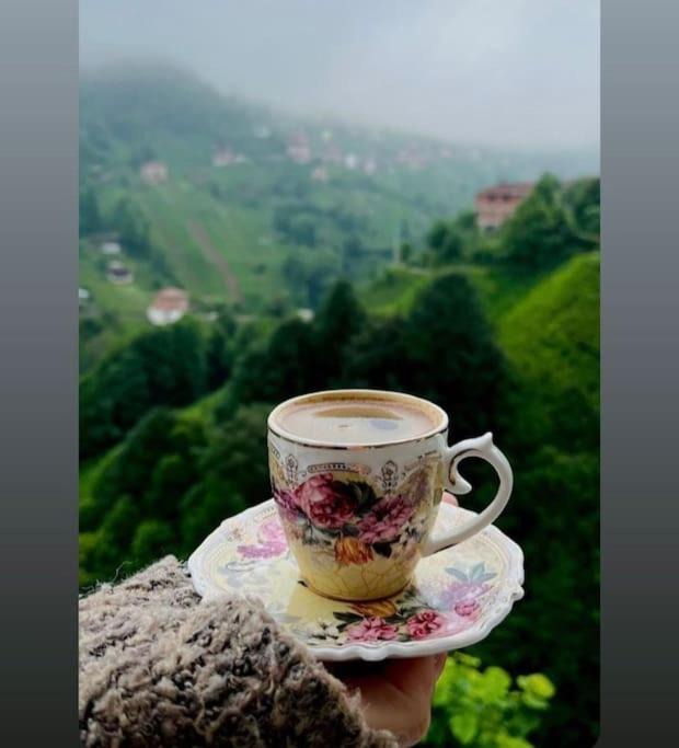 Photo of Others in Ayder