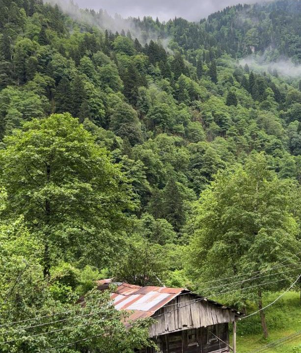 Photo of Others in Camlihemsin