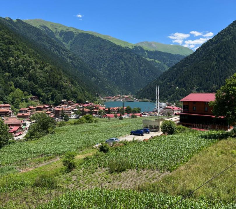 Photo of Others in Uzungol