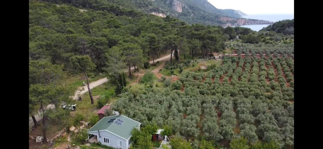 Photo of Others in Kumluca