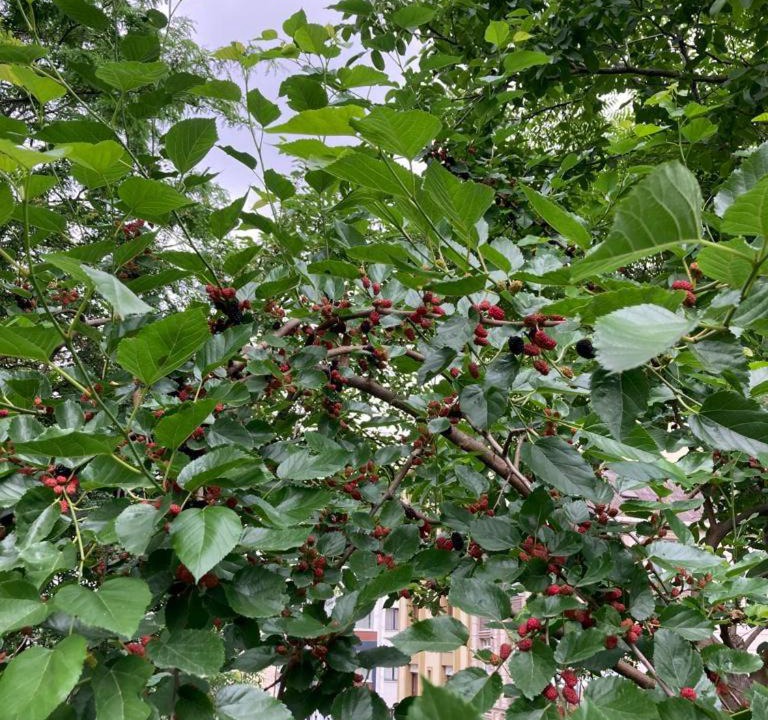 Photo of Others in Arnavutkoy District