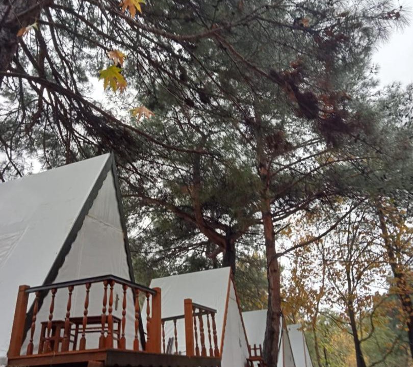 Photo of Bedroom in Pinarbasi
