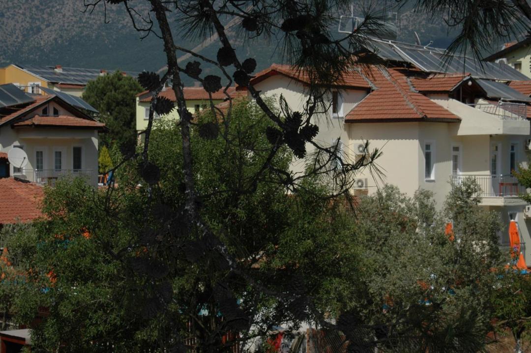 Photo of Others in Hisaronu