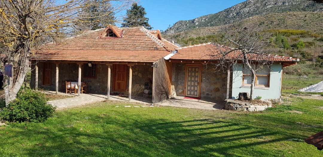 Photo of Others in Olympos