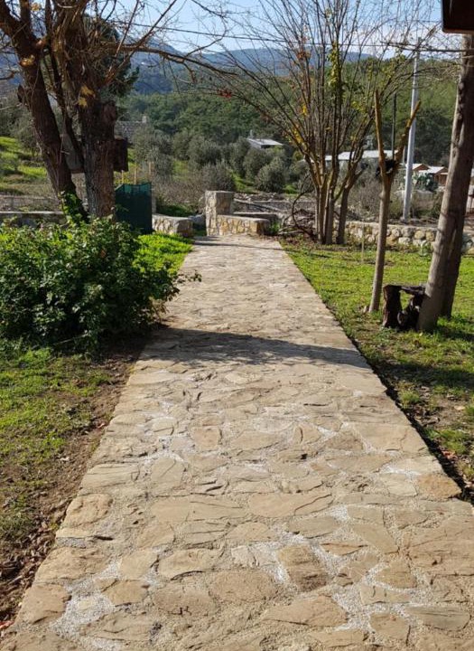 Photo of Others in Olympos