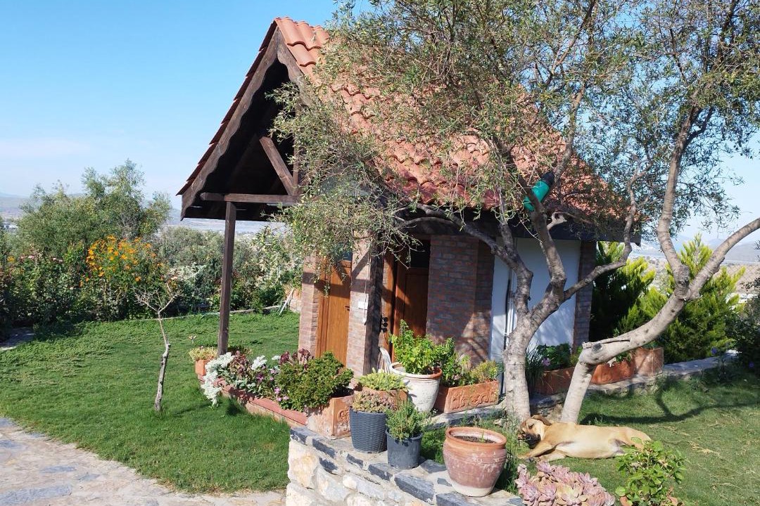 Photo of Outdoor in Dorttepe