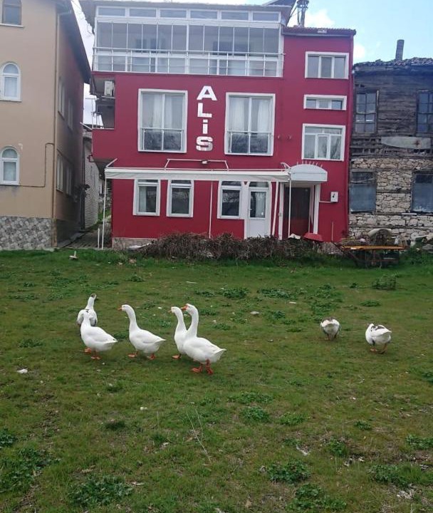 Photo of Others in Egirdir