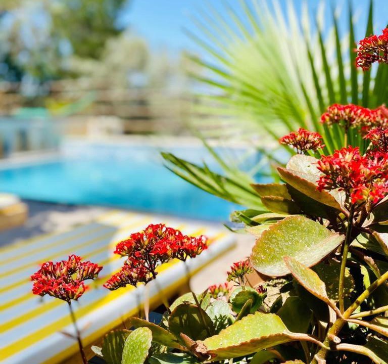 Photo of Outdoor in Fethiye