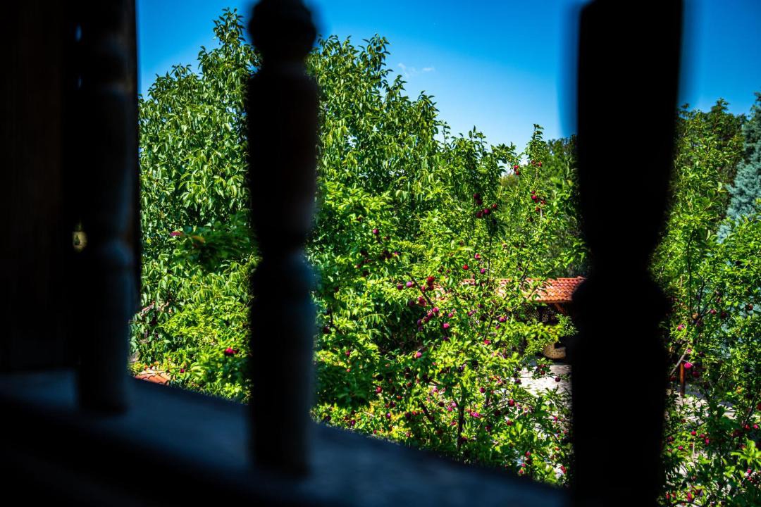 Photo of Others in Safranbolu