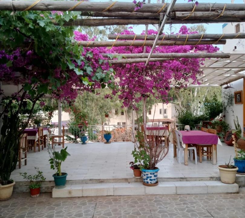 Photo of Others in Patara