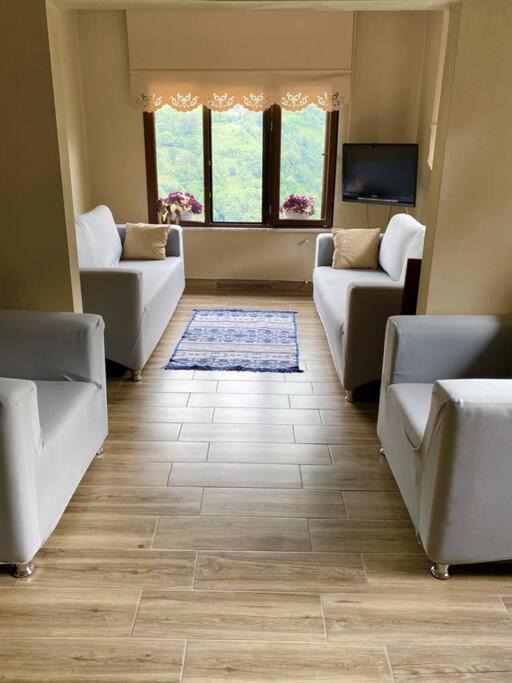 Photo of Livingroom in Ayder
