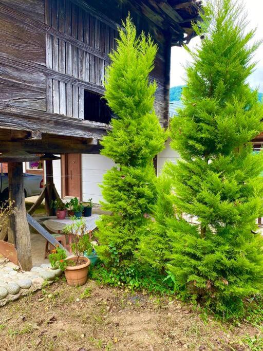 Photo of Buildings in Ayder
