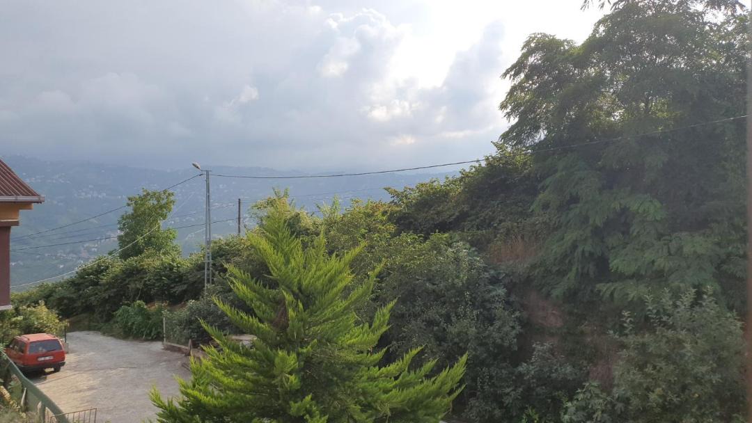 Photo of Others in Trabzon