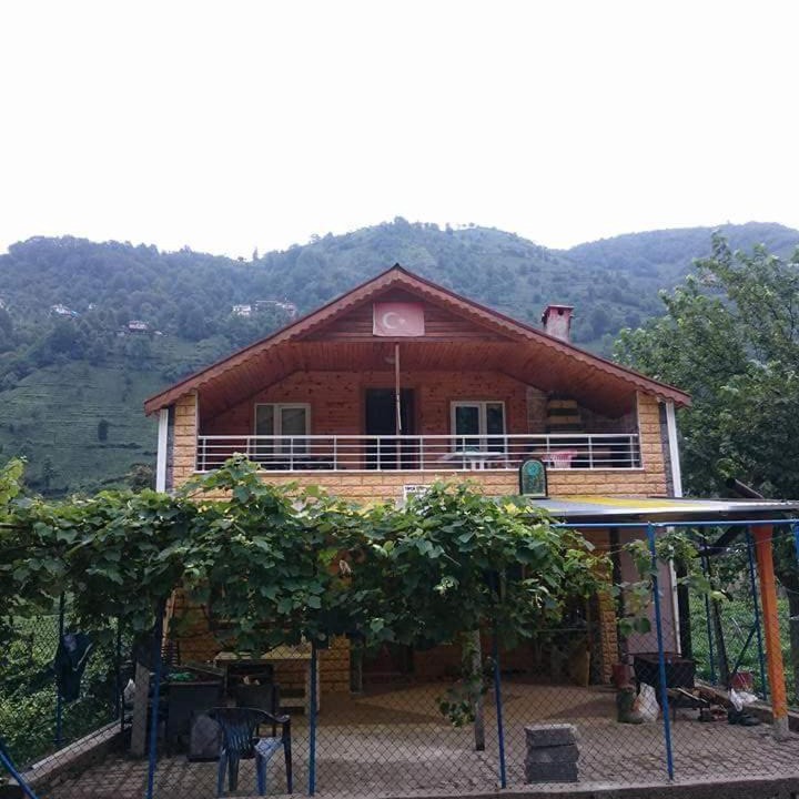 Photo of Buildings in Ayder