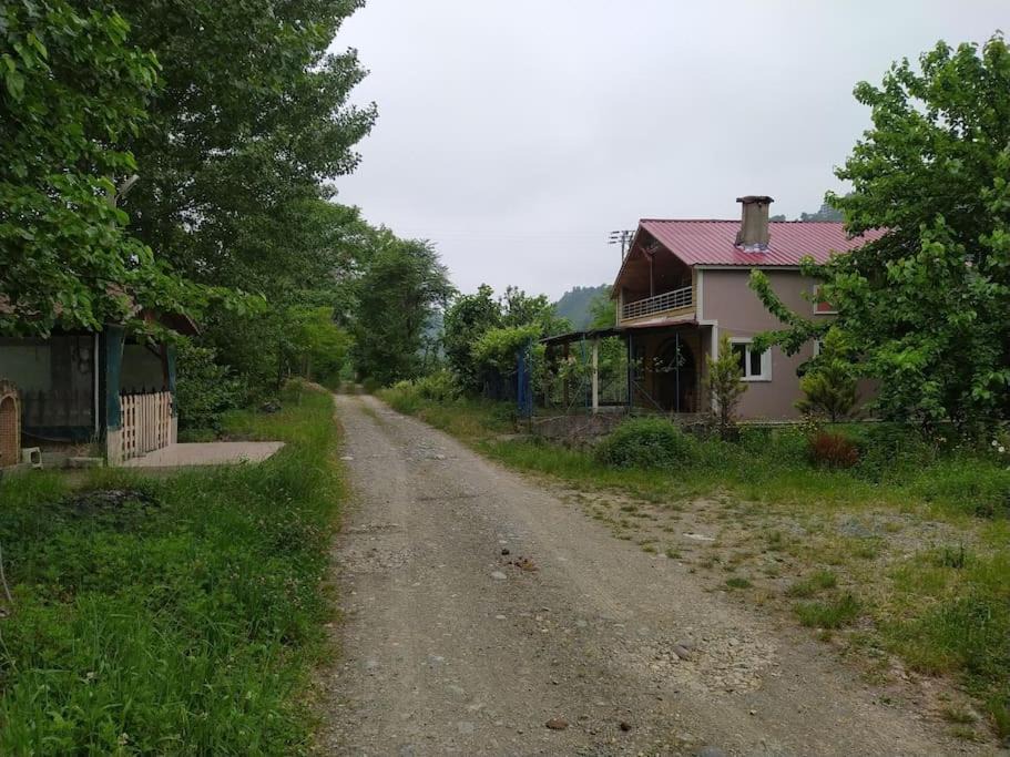 Photo of Buildings in Ayder