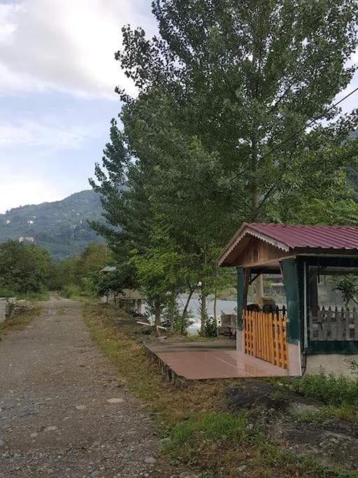 Photo of Others in Ayder