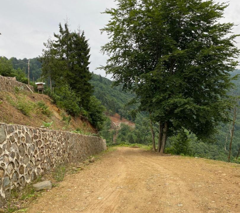 Photo of Others in Ayder