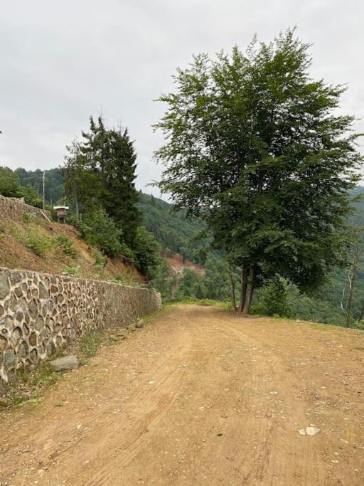 Photo of Outdoor in Ayder