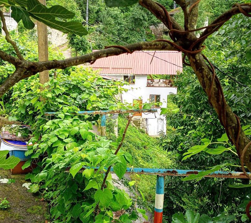Photo of Others in Ayder