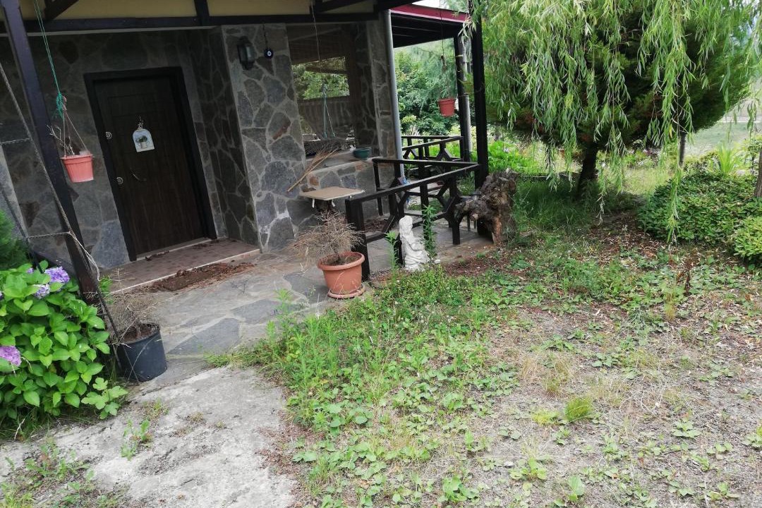Photo of Others in Trabzon