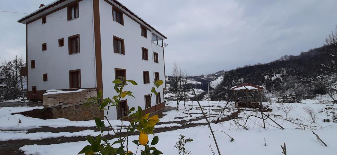 Photo of Others in Ovacik