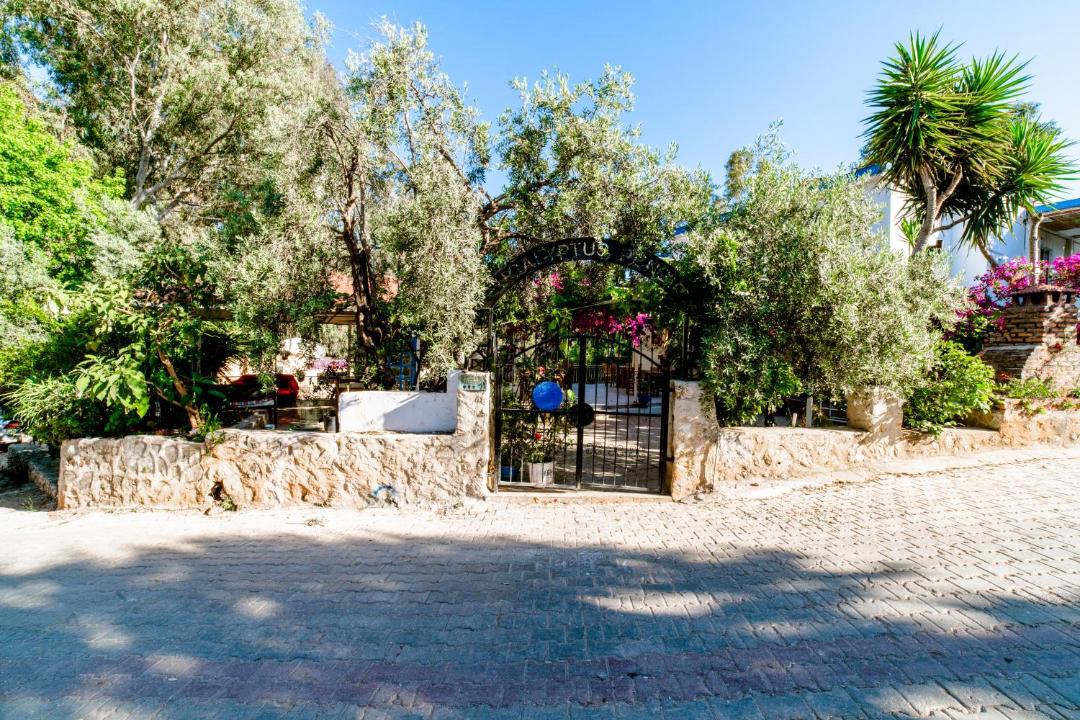 Photo of Others in Patara