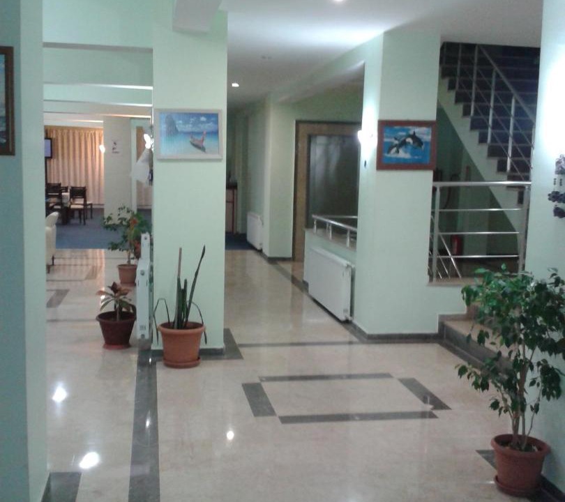 Photo of Others in Ilica