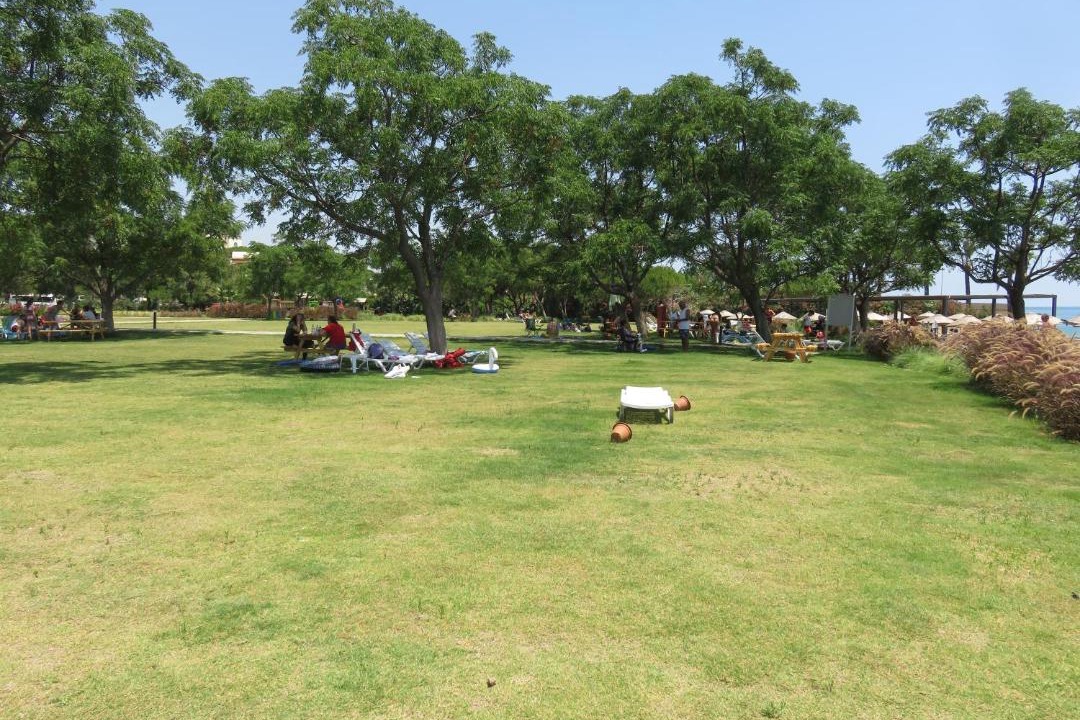 Photo of Others in Kadriye