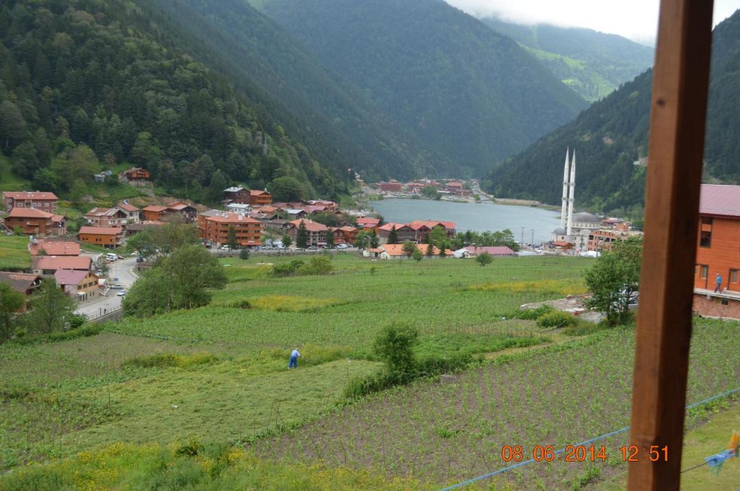 Photo of Others in Uzungol