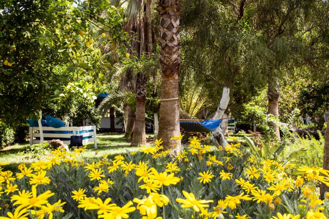 Photo of Outdoor in Cirali