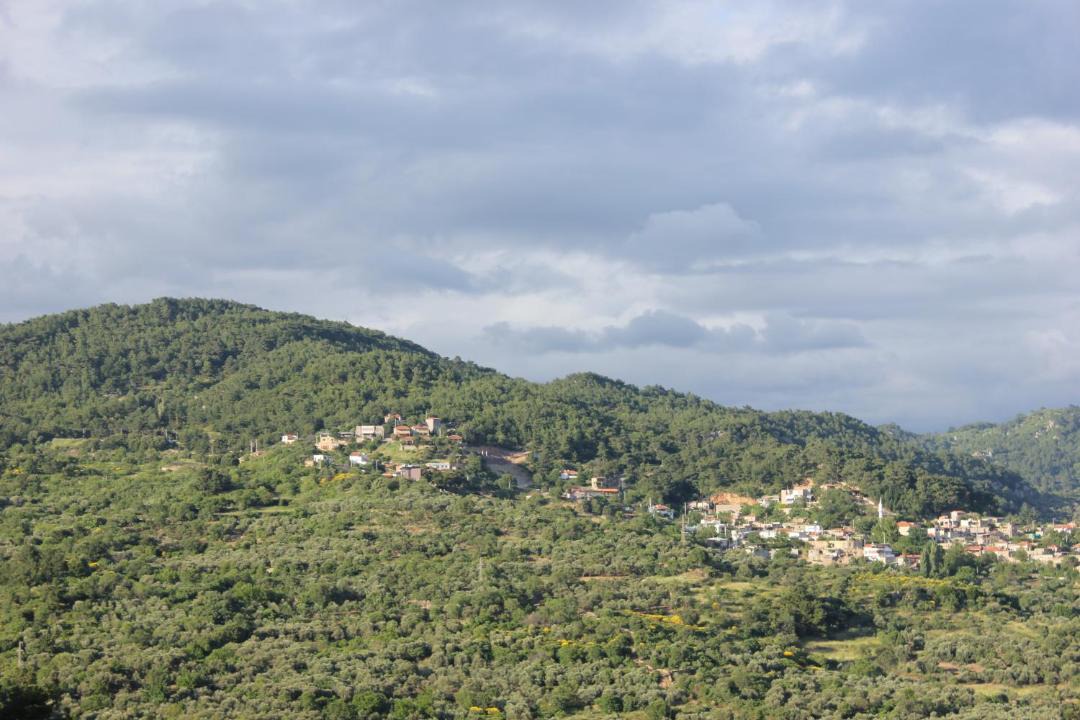 Photo of Others in Ayvacik