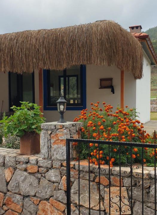 Photo of Livingroom in Dalaman