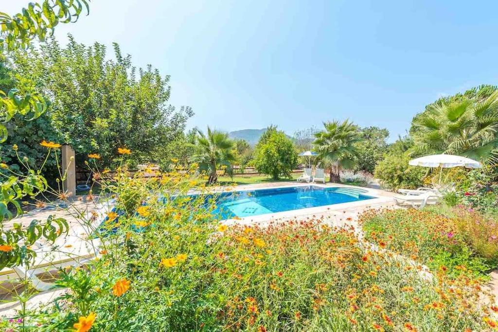 Photo of Others in Fethiye