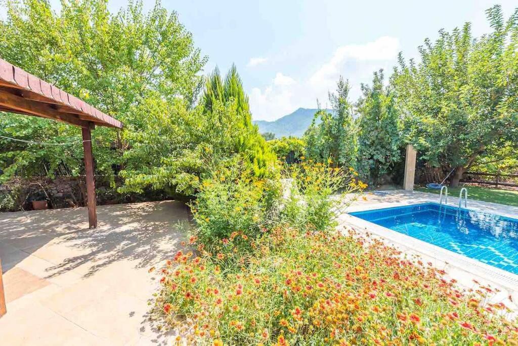Photo of Others in Fethiye