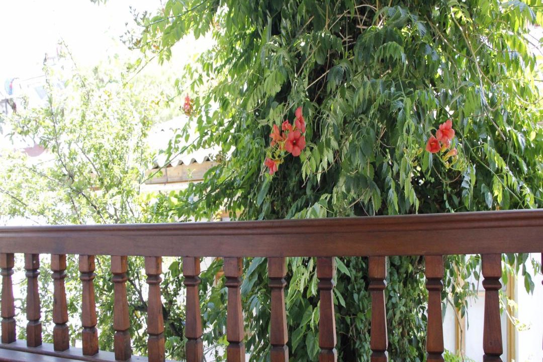 Photo of Others in Akyaka City Center