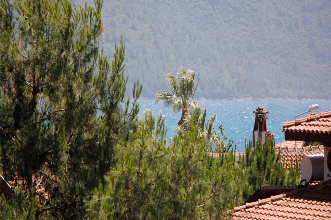 Photo of Others in Akyaka City Center