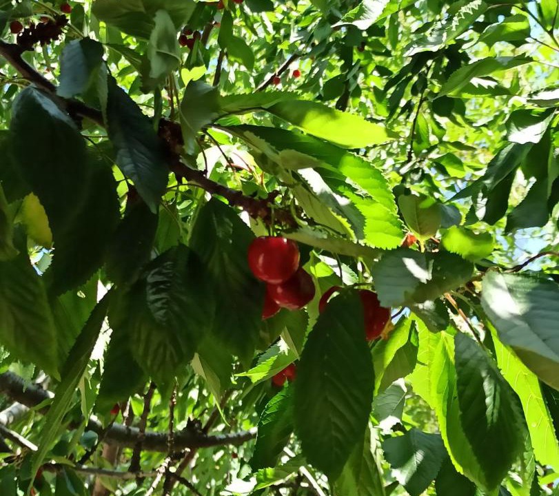 Photo of Outdoor in Ezine