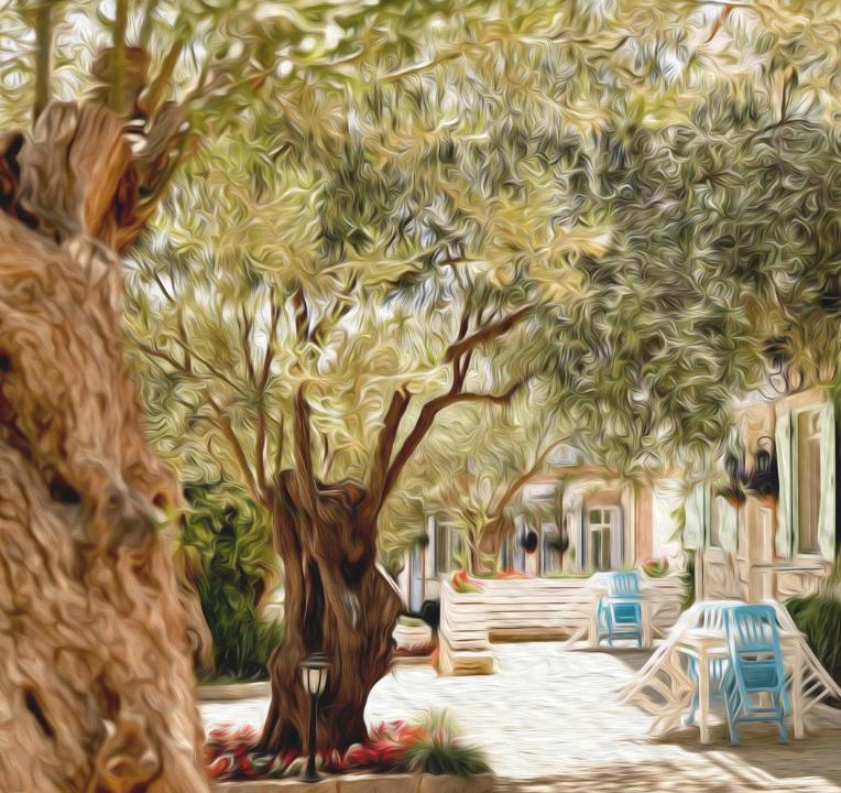 Photo of Others in Kucukkoy