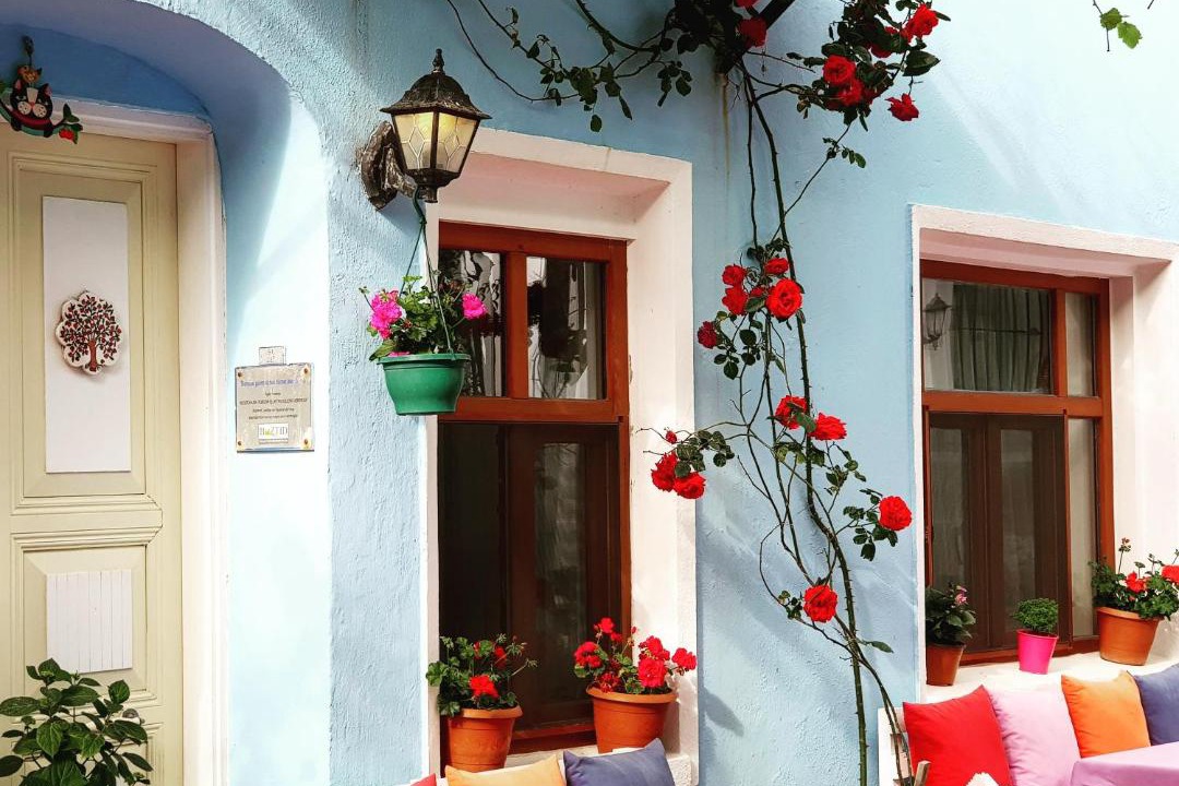 Photo of Livingroom in Bozcaada