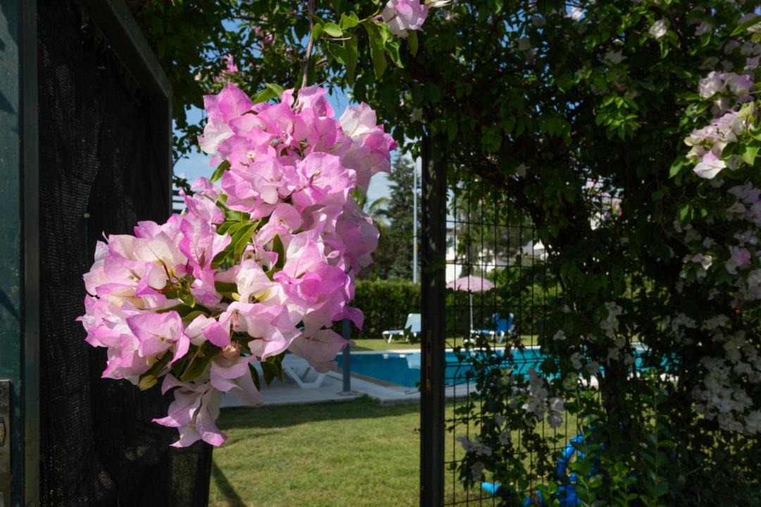Photo of Others in Bogazkent