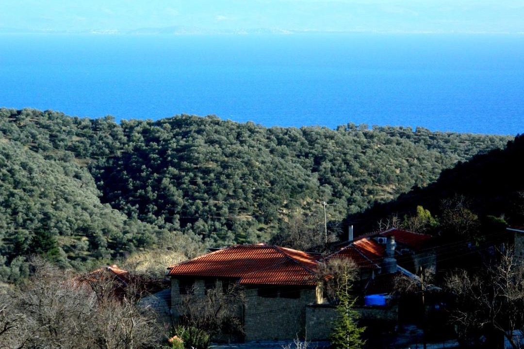 Photo of Others in Yesilyurt Koyu