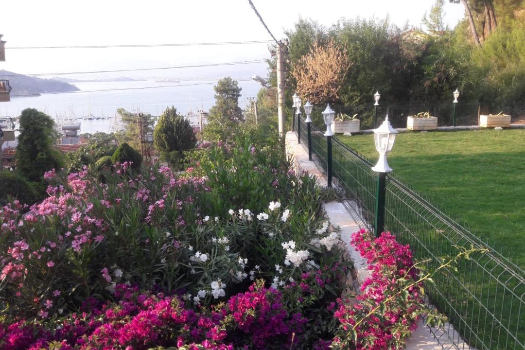 Photo of Others in Fethiye