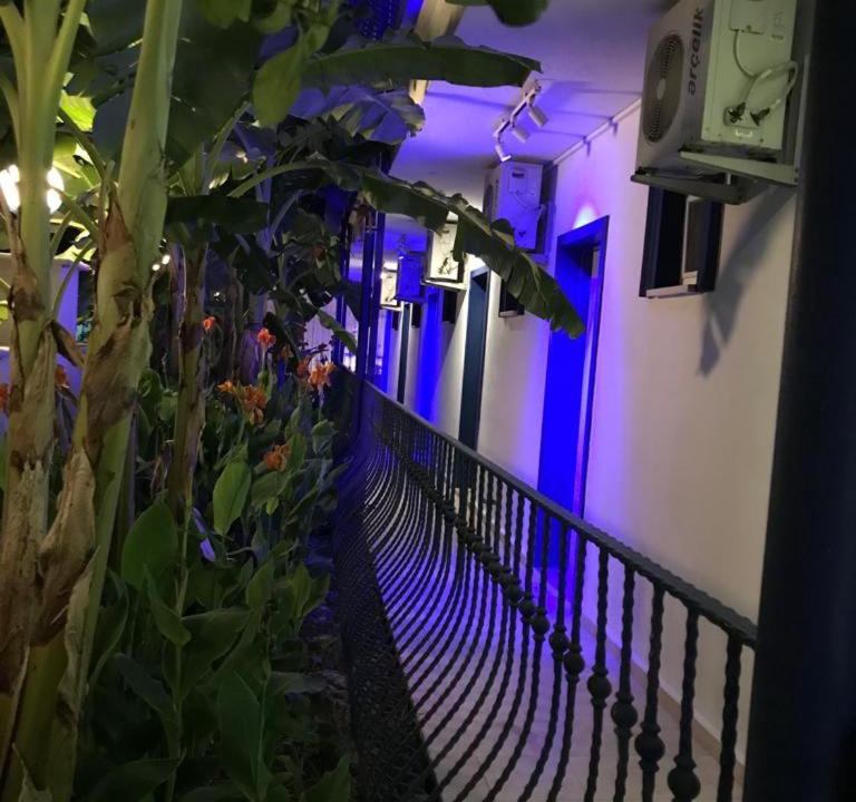 Photo of Livingroom in Dalyan City Center
