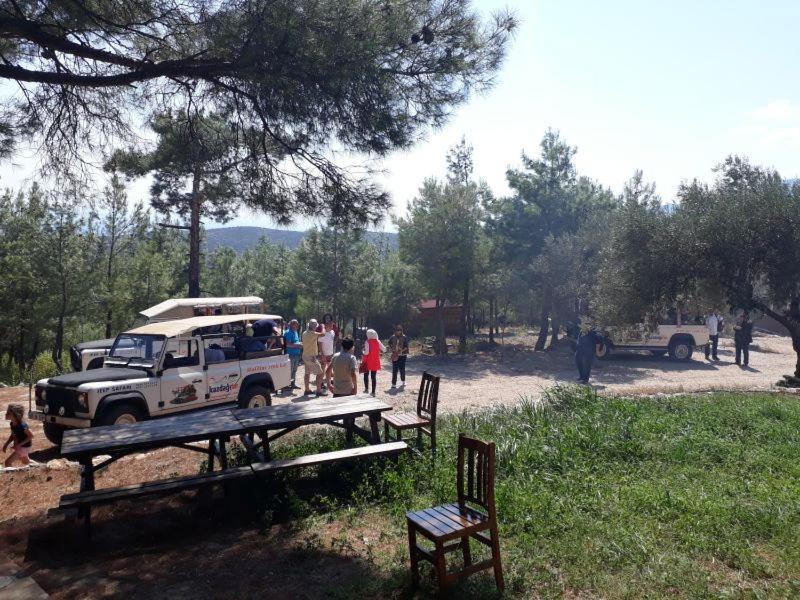 Photo of Others in Zeytinli