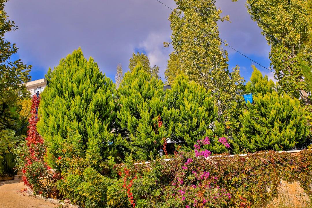 Photo of Outdoor in Islamlar