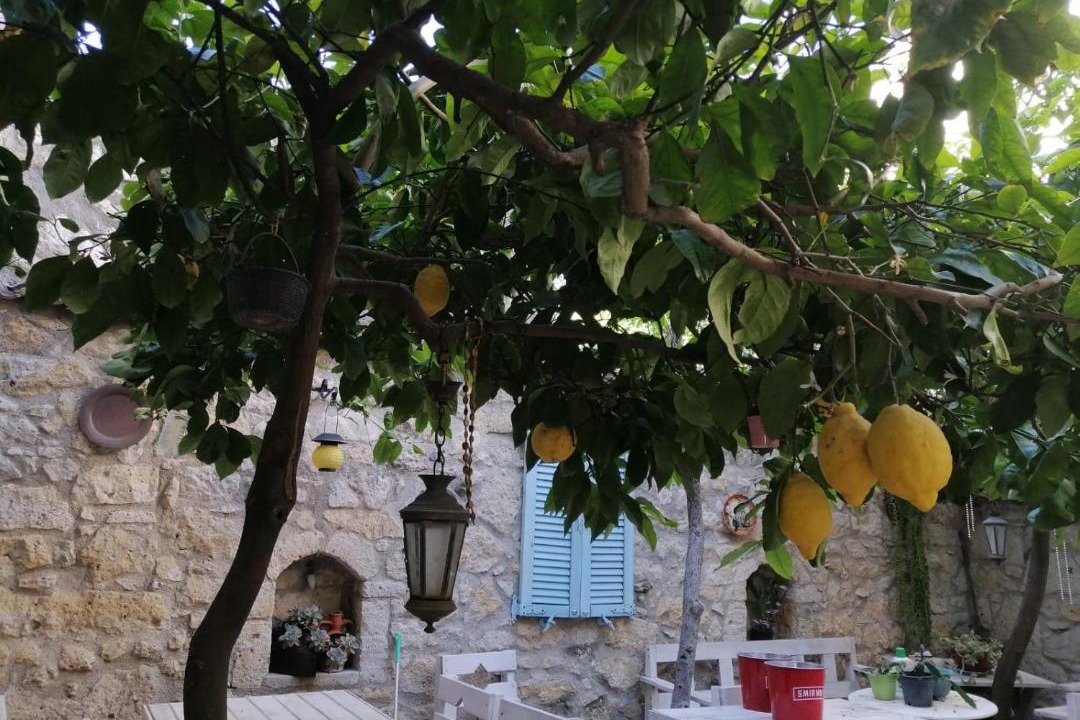 Photo of Others in Tokoglu